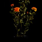 MPR_3678 - Version 2.jpg