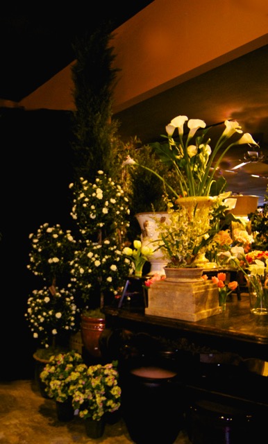 MPR_3398 - Version 3.jpg