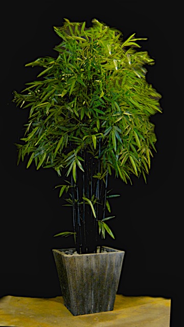 MPR3536 - Version 2.jpg