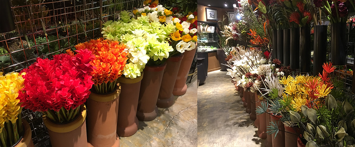 The Official Website of Plants 4 U , Rancho Mirage